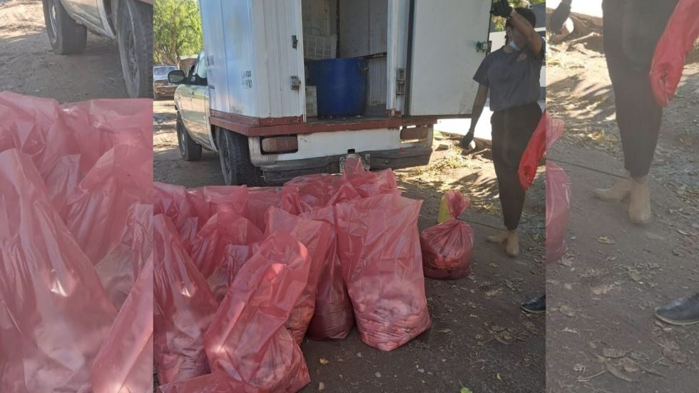 abigeato-3-1-980x551