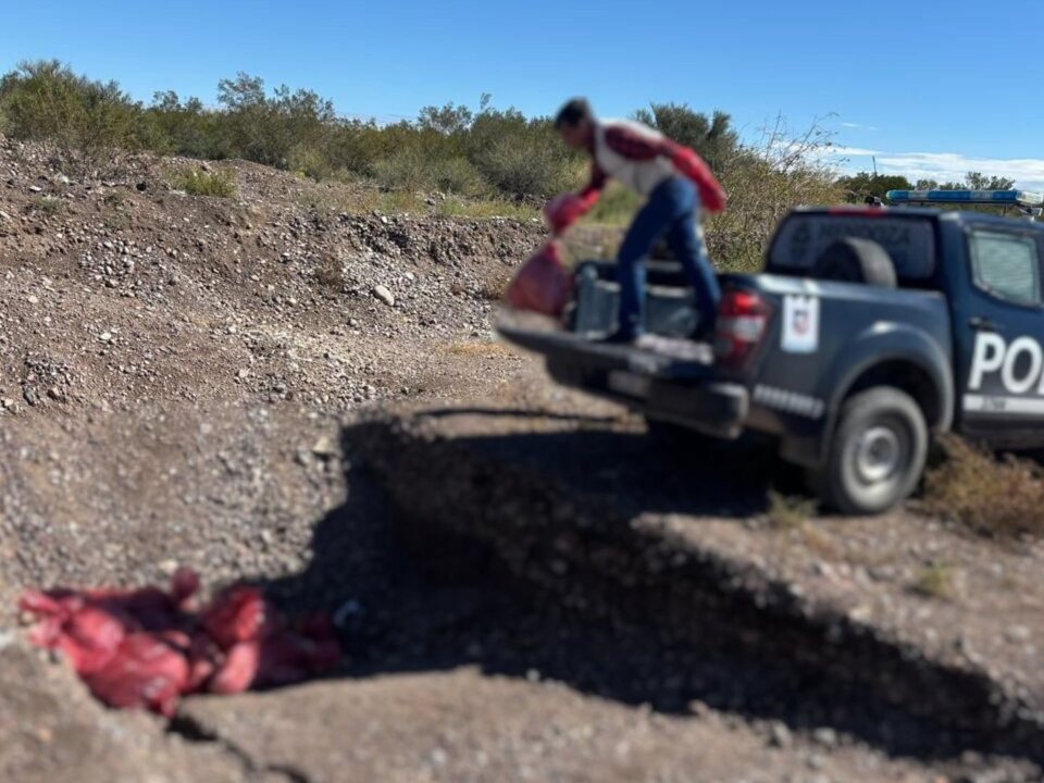 La Policía de Mendoza decomisó más de 370 kilos de alimentos no aptos para el consumo