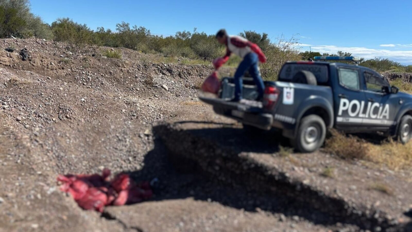 La Policía de Mendoza decomisó más de 370 kilos de alimentos no aptos para el consumo